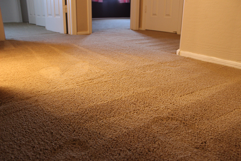brown carpet after carpet stretching